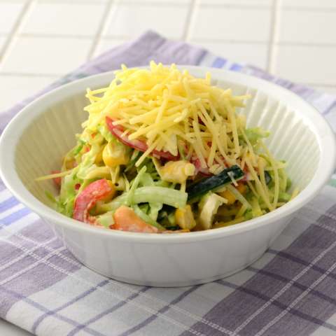 夏野菜のコールスロー～適塩～