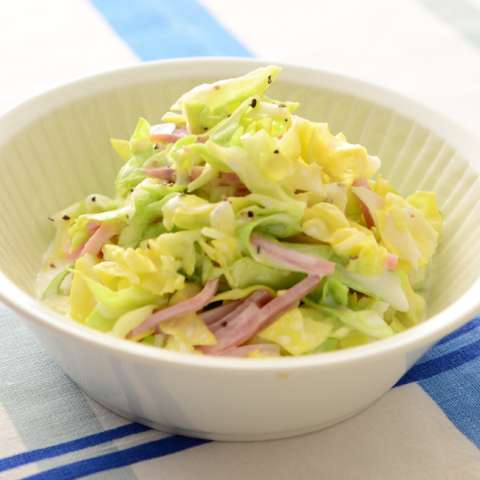 簡単！パルテノでコールスロー～適塩～